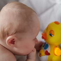 Фото отзыва 10535609