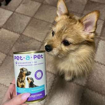 Корм для собак Pet-a-Pet 400г диетический профилактика болезней ЖКТ Gastrointestinal: отзыв пользователя. Зоомагазин Зоозавр