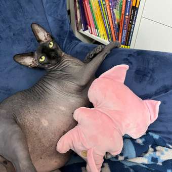 Мягкая игрушка Zuru FUGGLER Дикие коты Морщулик: отзыв пользователя ДетМир