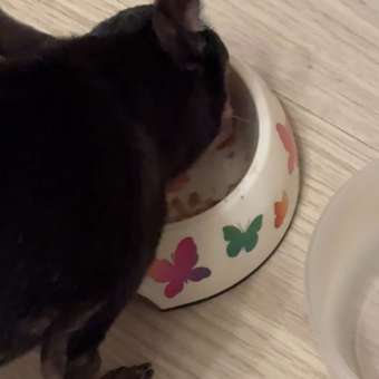 Корм для собак Pet-a-Pet 240г диетический профилактика болезней ЖКТ Gastrointestinal: отзыв пользователя. Зоомагазин Зоозавр