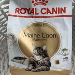 Фото отзыва 11028015