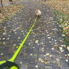 Фото отзыва 10503327