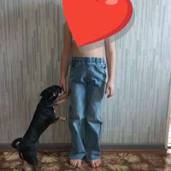 Фото отзыва 11026751