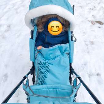Санки-коляска Ника: отзыв пользователя Детский Мир