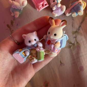 Игровой набор Sylvanian Families Малыши на прогулке: отзыв пользователя Детский Мир