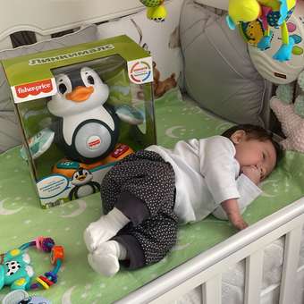 Игрушка Fisher Price: отзыв пользователя ДетМир