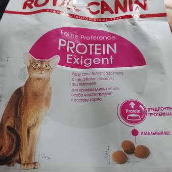 Корм сухой для кошек ROYAL CANIN Exigent Protein 400г привередливых к составу продукта: отзыв пользователя. Зоомагазин Зоозавр