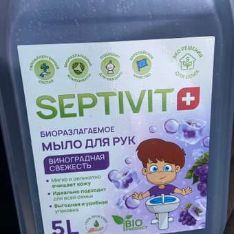 Мыло жидкое SEPTIVIT Виноградная свежесть 5450 г 5000 мл: отзыв пользователя Детский Мир