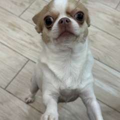 Фото отзыва 10711724