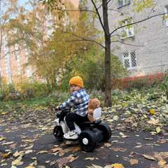 Фото отзыва 10672366