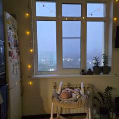 Фото отзыва 10695822