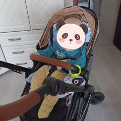 Фото отзыва 11264231