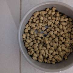 Фото отзыва 10650161