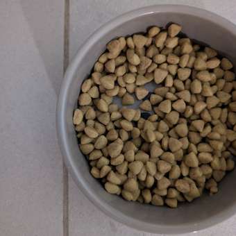 Корм для кошек ROYAL CANIN 0.350кг Hypoallergenic гипоаллергенный: отзыв пользователя. Зоомагазин Зоозавр