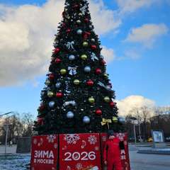 Фото отзыва 10713305