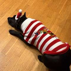 Фото отзыва 10744181