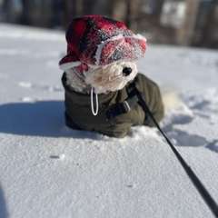 Фото отзыва 11066600