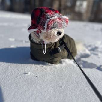 Шапка-ушанка для собак и кошек Зоозавр: отзыв пользователя. Зоомагазин Зоозавр