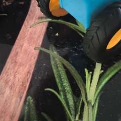 Видео отзыва 11323131