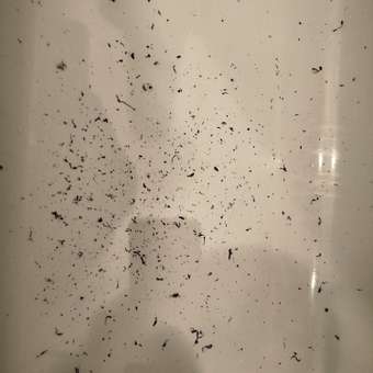 Толстовка Futurino: отзыв пользователя Детский Мир