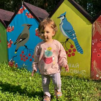 Свитшот BabyGo: отзыв пользователя Детский Мир