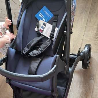Коляска прогулочная Olsson Jazz Dark Blue синий: отзыв пользователя Детский Мир