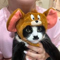 Фото отзыва 10958390