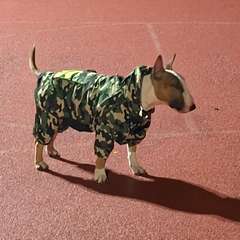 Фото отзыва 10763521