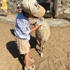 Фото отзыва 10577349