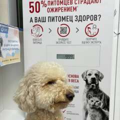 Фото отзыва 10710883