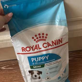 Корм для щенков Royal Canin Mini Puppy мелких пород до 10 месяцев кусочки в соусе пауч 85г: отзыв пользователя. Зоомагазин Зоозавр