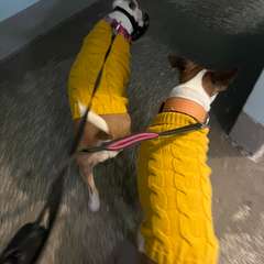 Фото отзыва 11082444