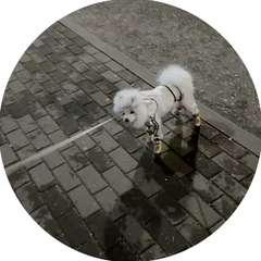 Видео отзыва 10617666