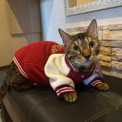 Фото отзыва 11200118