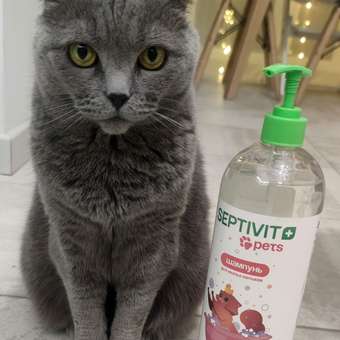 Шампунь для кошек SEPTIVIT 1 л: отзыв пользователя. Зоомагазин Зоозавр