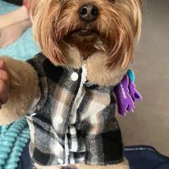 Фото отзыва 11028802