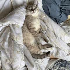 Фото отзыва 10683975