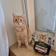 Фото отзыва 10594085