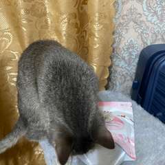 Фото отзыва 11090467