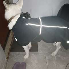 Фото отзыва 10636349