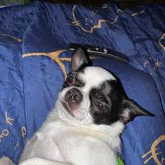 Фото отзыва 10701122