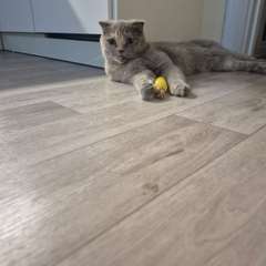 Фото отзыва 11011239