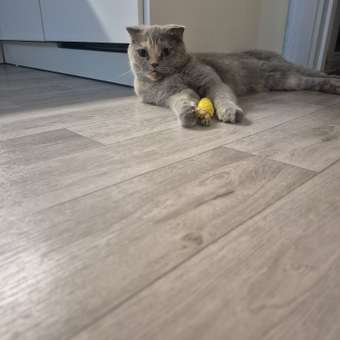 Игрушка для кошек Barbaks Морковки из натурального волокна 2шт: отзыв пользователя. Зоомагазин Зоозавр