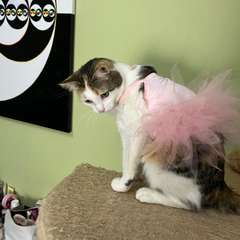 Фото отзыва 10974026