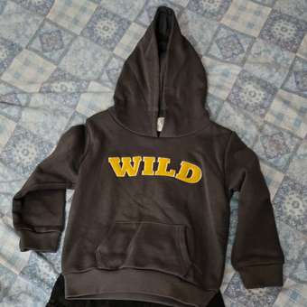 Худи BabyGo: отзыв пользователя Детский Мир