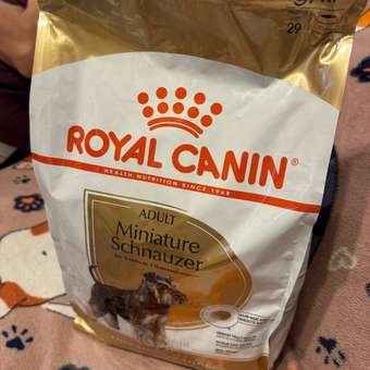 Корм для собак ROYAL CANIN породы миниатюрный шнауцер 3кг: отзыв пользователя. Зоомагазин Зоозавр