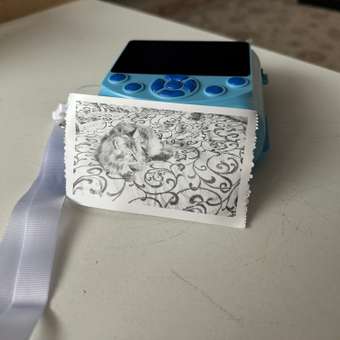 Фотоаппарат с мгновенной печатью CASTLELADY: отзыв пользователя Детский Мир