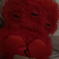 Фото отзыва 11120029