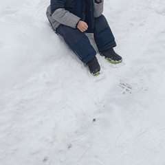 Фото отзыва 10869852