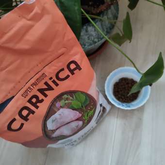 Корм для собак Carnica 1,5кг с кроликом для чувствительного пищеварения для мелких пород сухой: отзыв пользователя. Зоомагазин Зоозавр